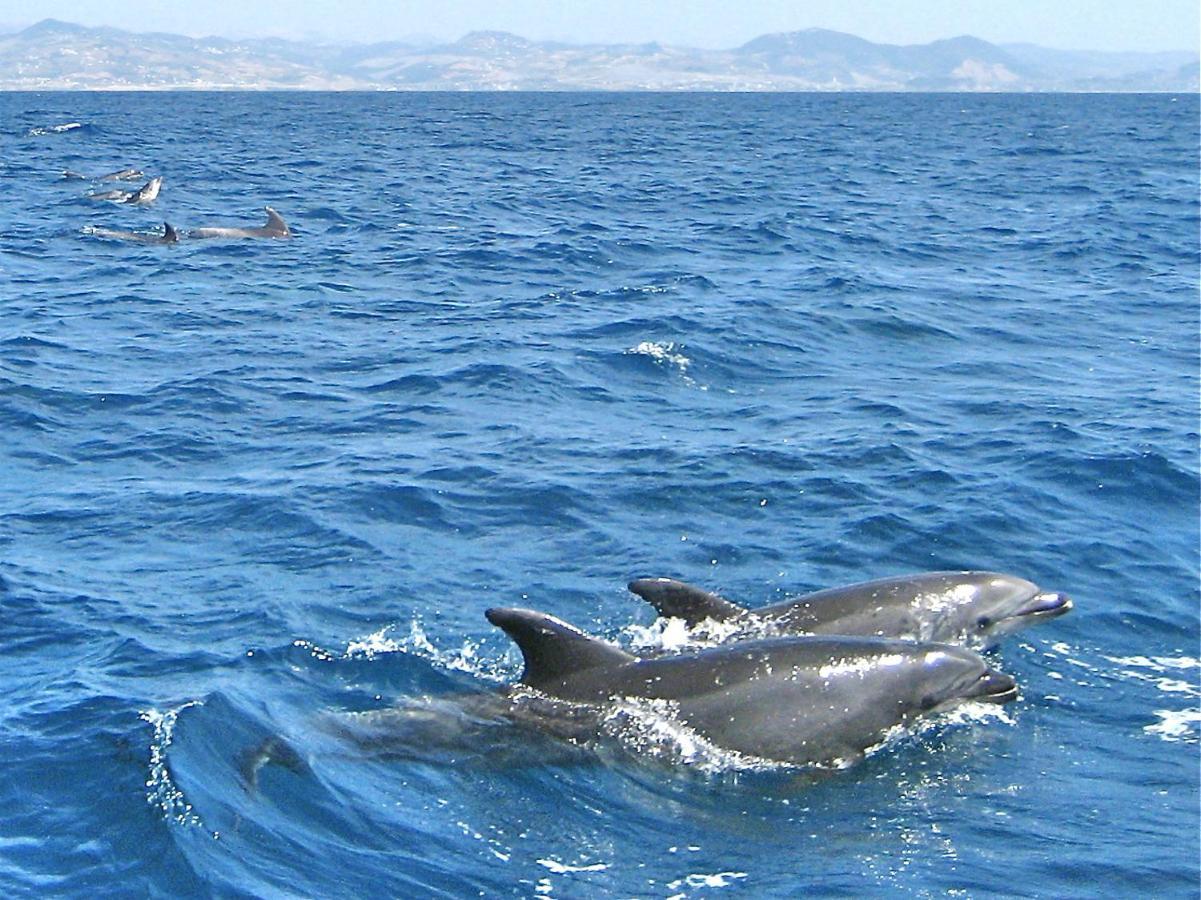 Finca Meerlust - Las Ballenas Лос-Каньос-де-Мека Экстерьер фото